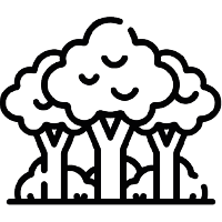 icon-gran-forestacion.png