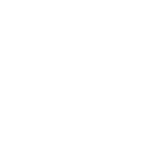 icon-sum-1-y-2.png