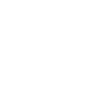 seguridad